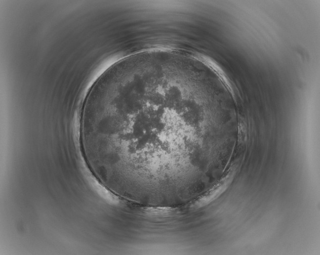 X0000110890859200906181244