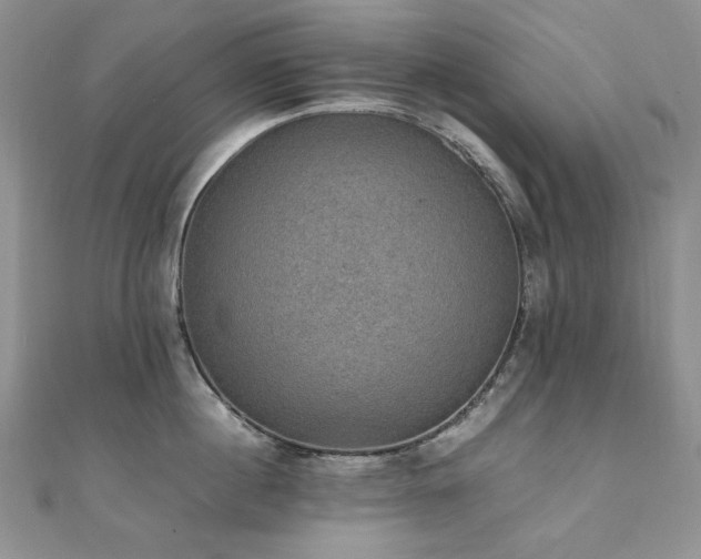 X0000110890860200906181244