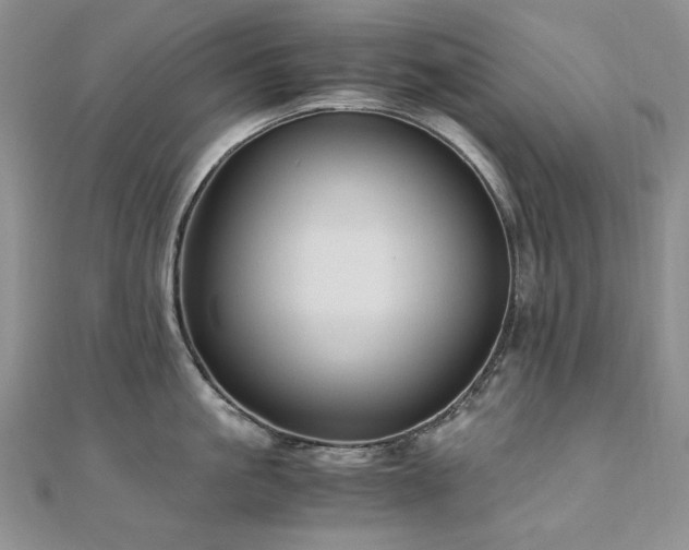 X0000110890861200906181244