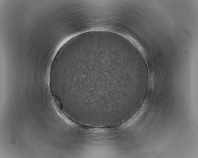 X0000110890862200906181244