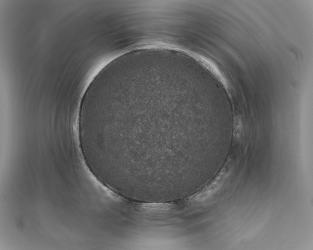 X0000110890863200906181244