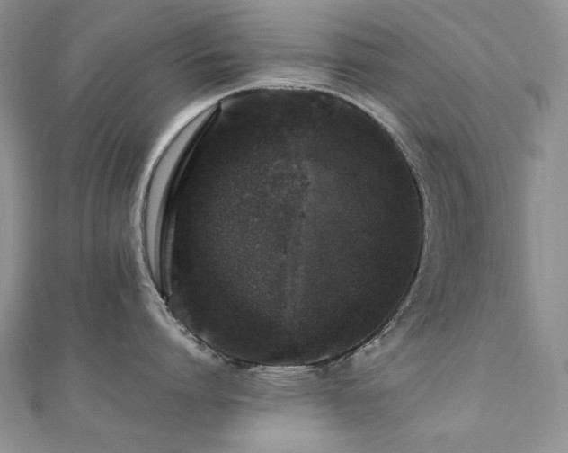 X0000110890864200906181244