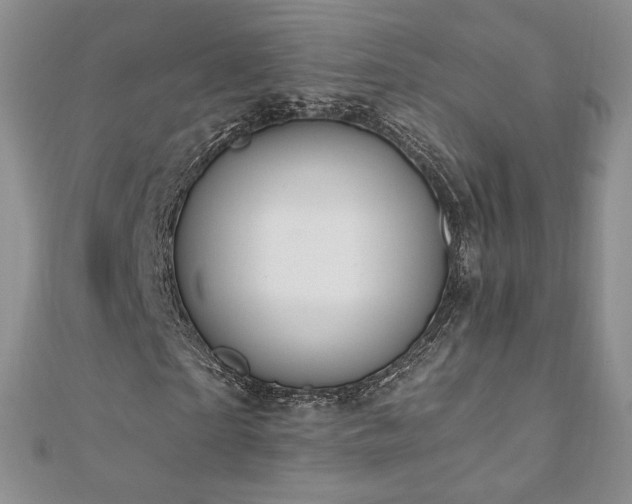 X0000110890865200906181244