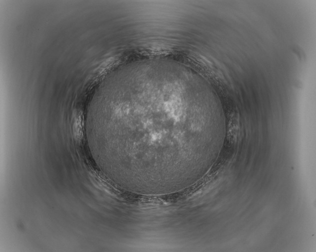 X0000110890866200906181244