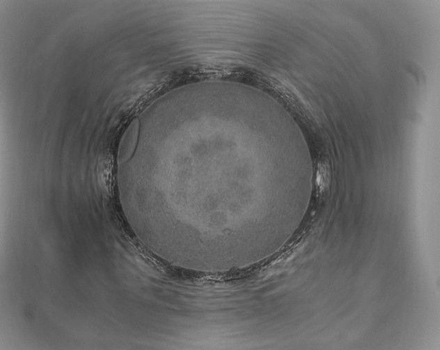 X0000110890867200906181244