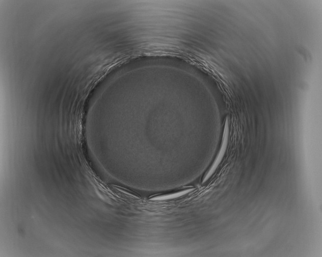X0000110890868200906181244