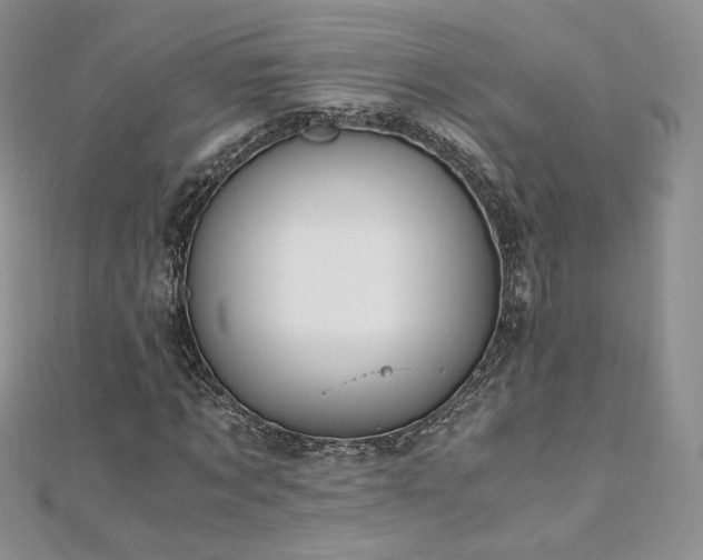 X0000110890869200906181244