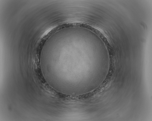 X0000110890871200906181243