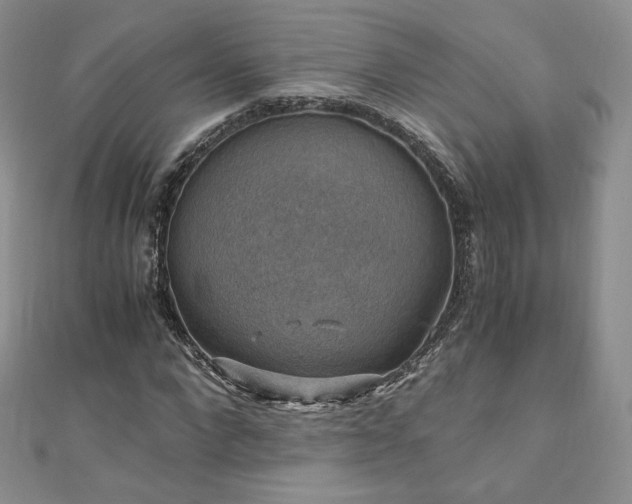 X0000110890872200906181243