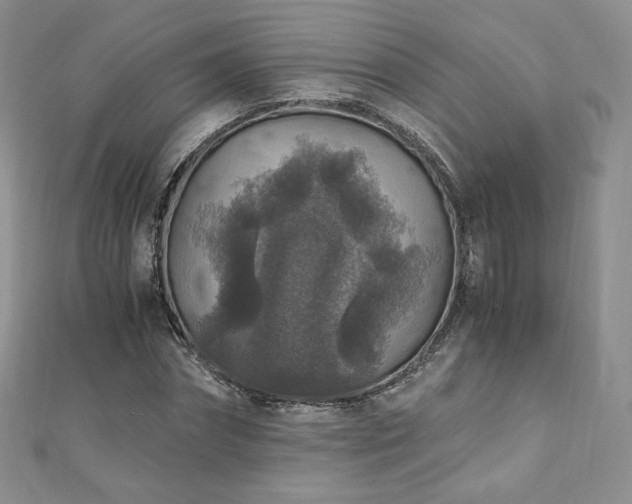 X0000110890874200906181243