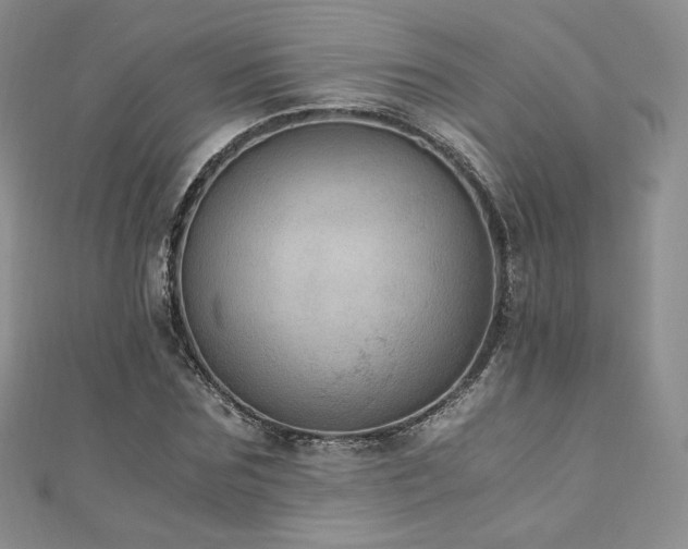X0000110890875200906181243