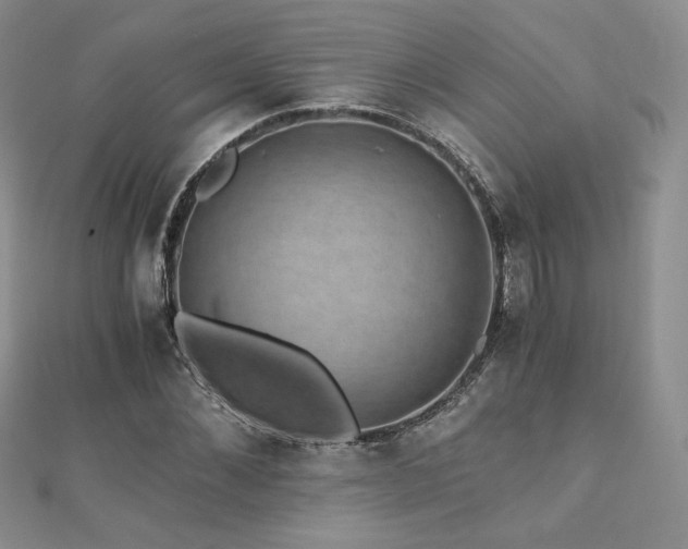 X0000110890876200906181243