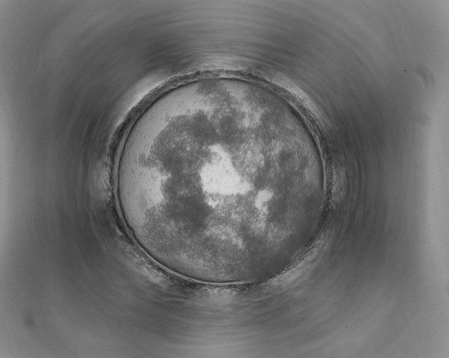 X0000110890878200906181243