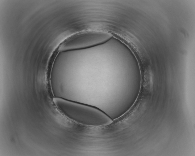 X0000110890880200906181243