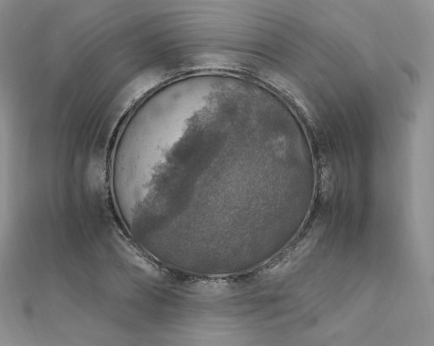 X0000110890882200906181243
