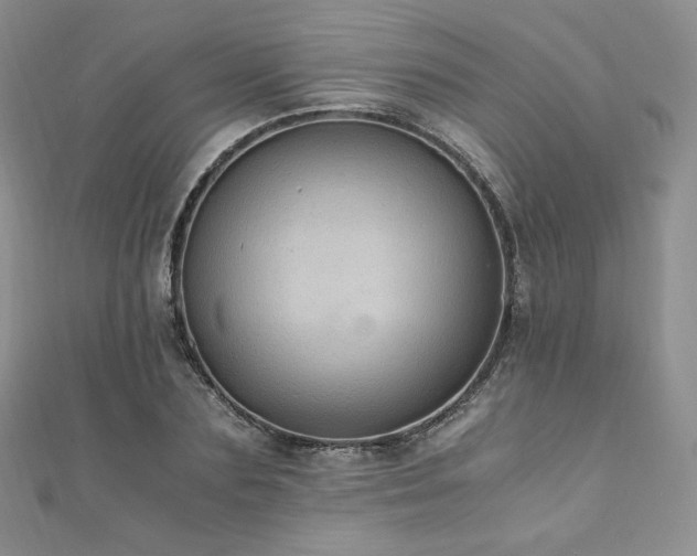 X0000110890883200906181243