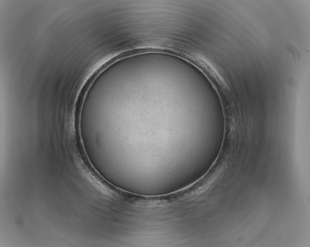 X0000110890884200906181243