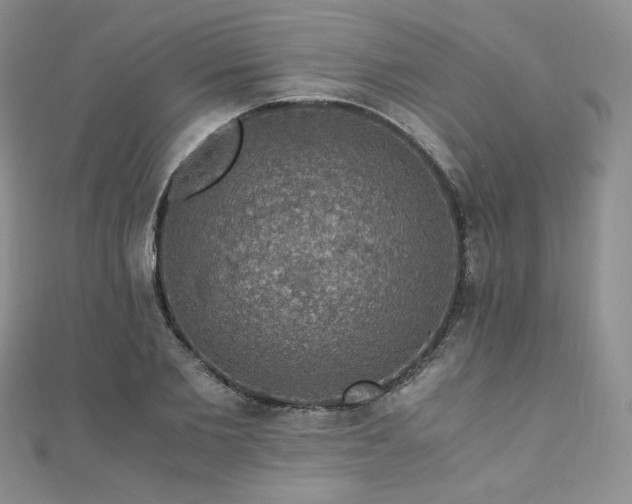 X0000110890885200906181243
