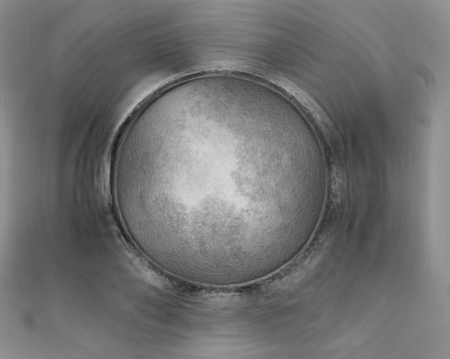 X0000110890886200906181243