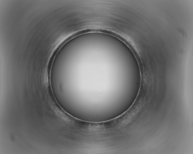 X0000110890887200906181243