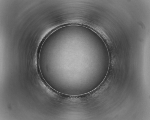 X0000110890888200906181243