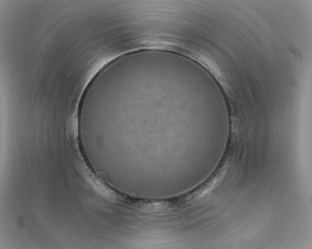 X0000110890891200906181243