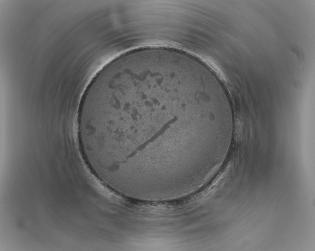 X0000110890895200906181243