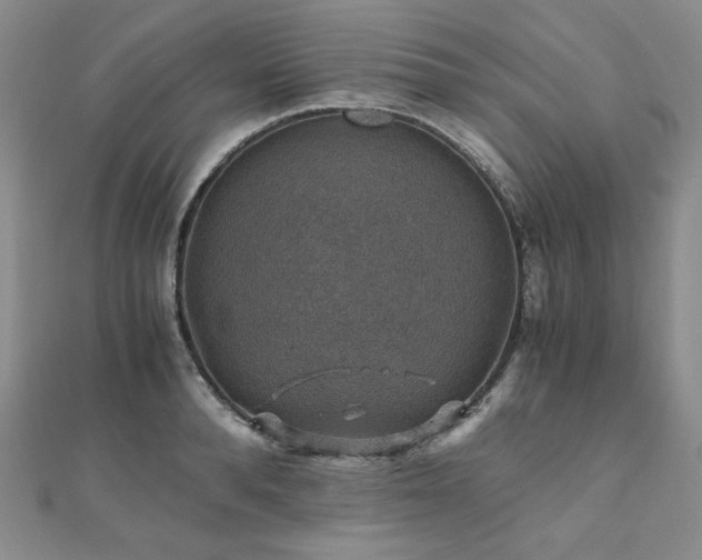 X0000110890896200906181243