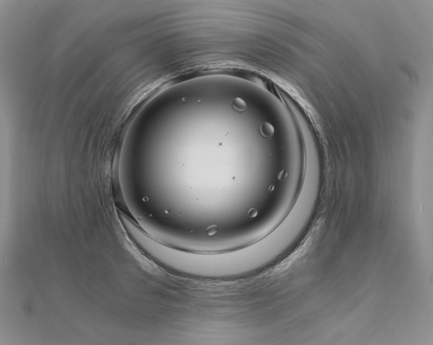 X0000110890897200906181243