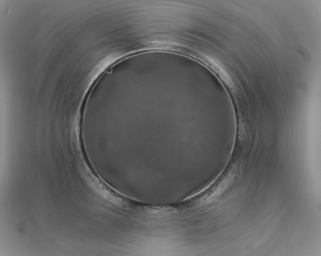 X0000110890899200906181243