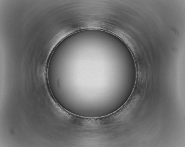 X0000110890901200906181243