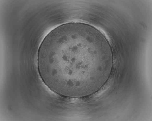 X0000110890903200906181243