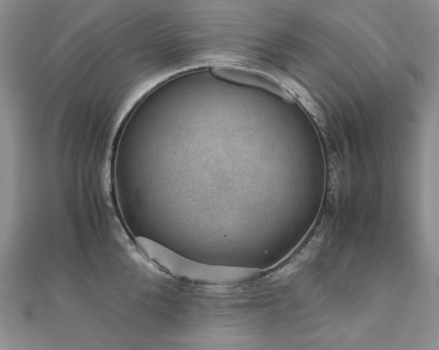 X0000110890904200906181243