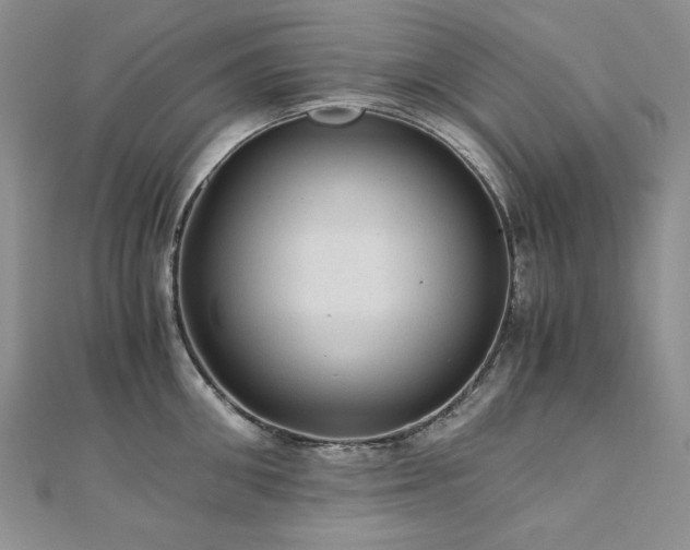 X0000110890906200906181243
