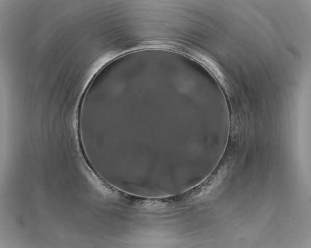 X0000110890907200906181243