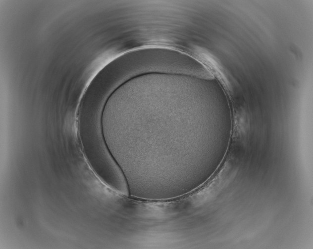 X0000110890908200906181243