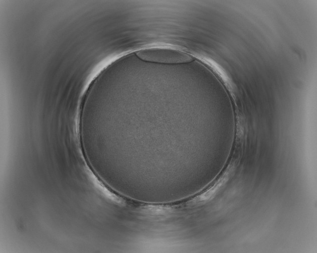 X0000110890910200906181243