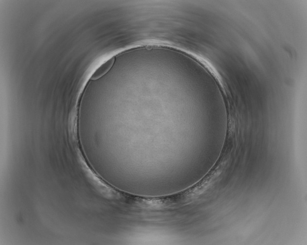 X0000110890911200906181243