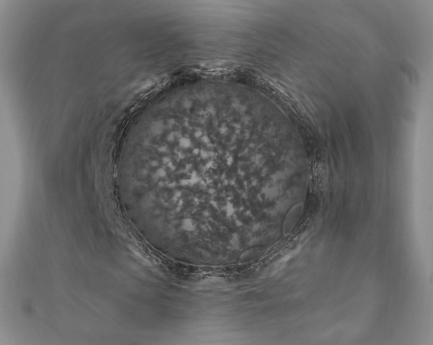 X0000110890913200906181242