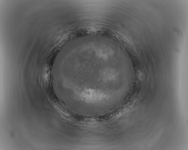 X0000110890914200906181242