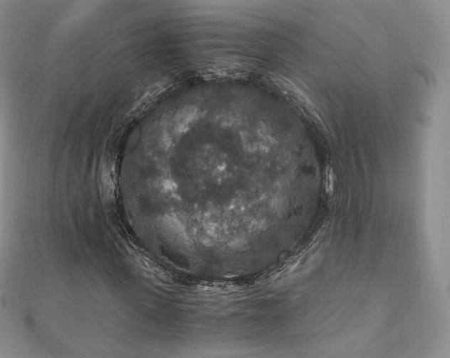 X0000110890915200906181242