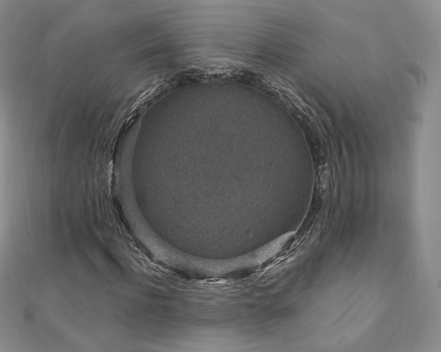X0000110890916200906181242