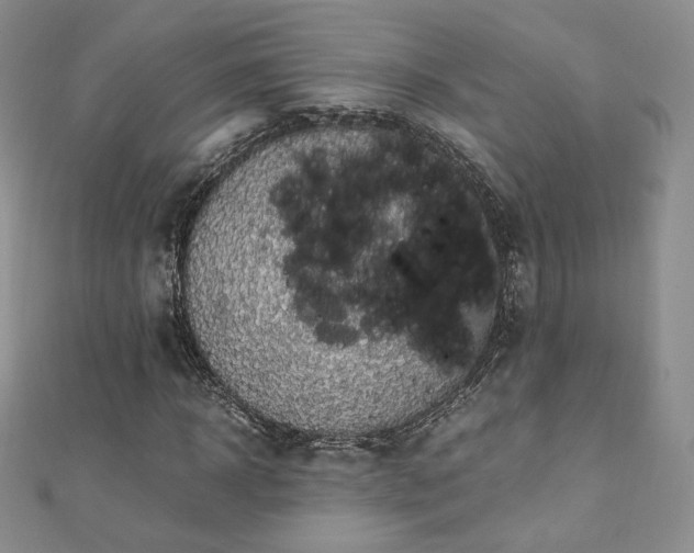 X0000110890918200906181242