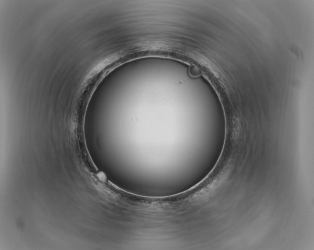 X0000110890922200906181242