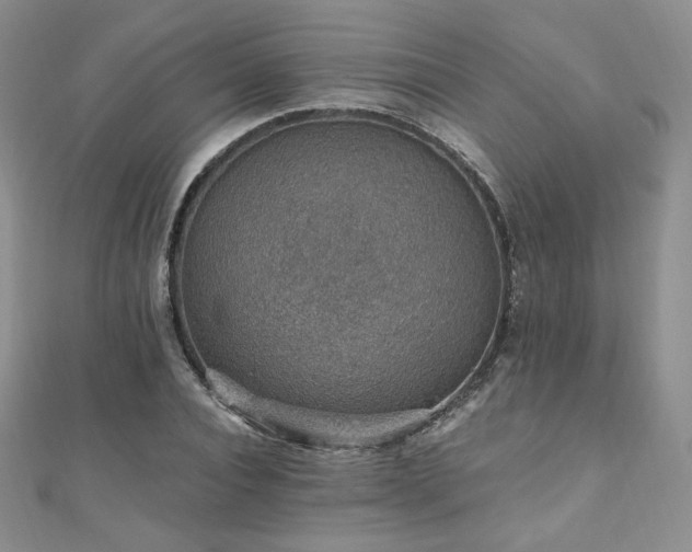 X0000110890928200906181242