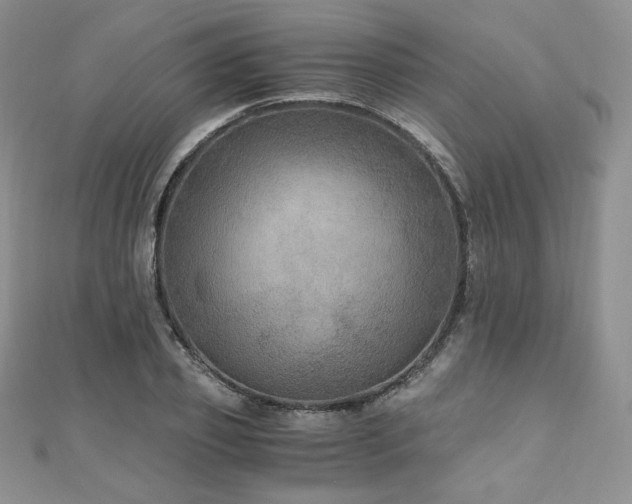 X0000110890933200906181243