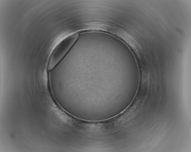 X0000110890936200906181243