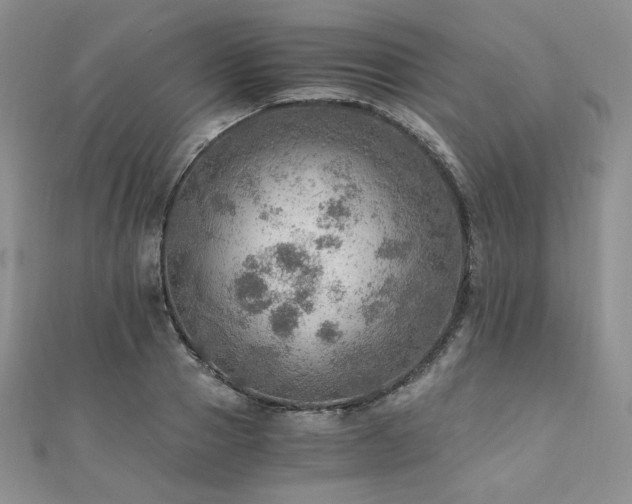 X0000110890937200906181243