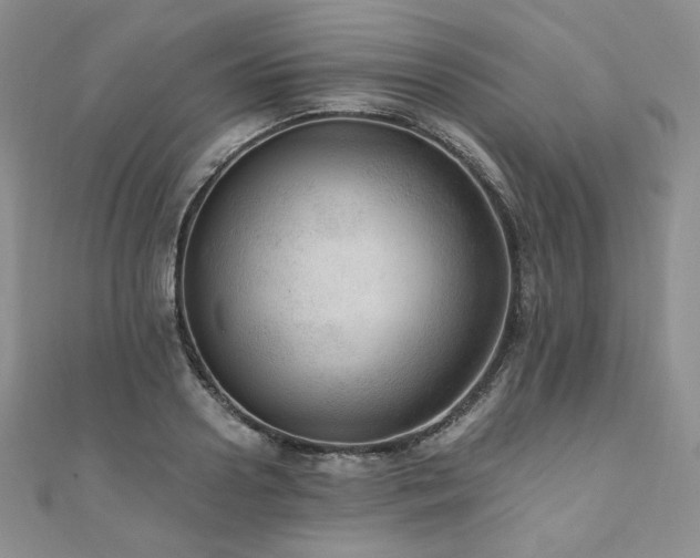 X0000110890938200906181243