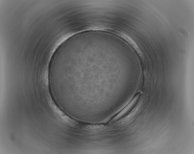 X0000110890939200906181243